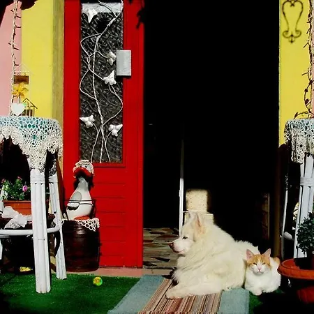 Art La Casa Del Pittore *